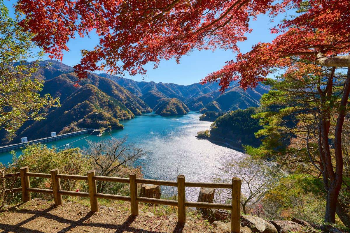 Foliage e gourmet: il duo dinamico che rende Tokyo ovest il nuovo paradiso